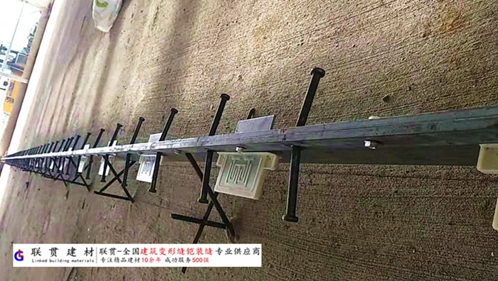 丽水市铠甲缝施工案例